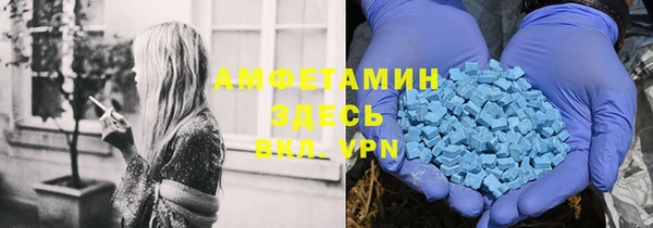 прущие грибы Тихвин