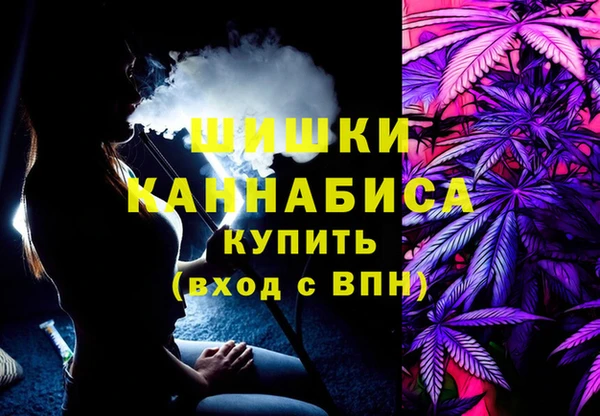 прущие грибы Тихвин