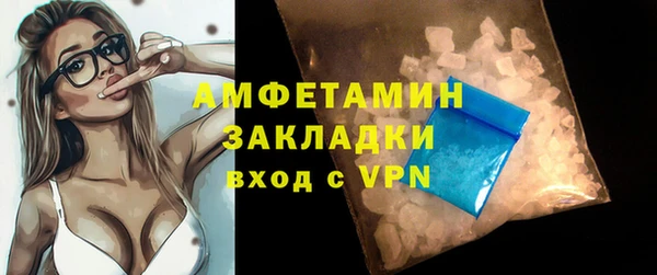 прущие грибы Тихвин