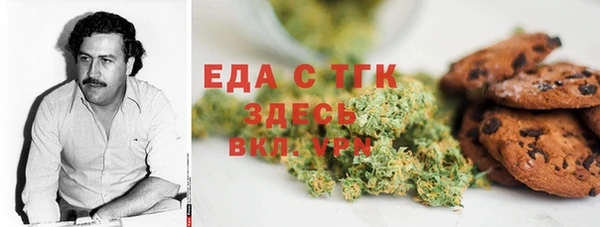 прущие грибы Тихвин