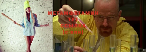 прущие грибы Тихвин