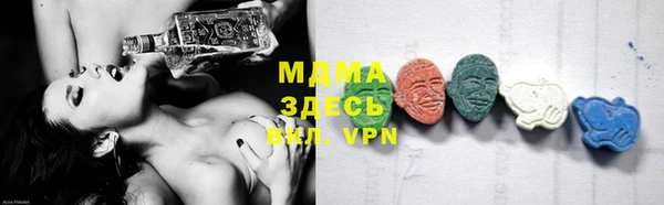 прущие грибы Тихвин