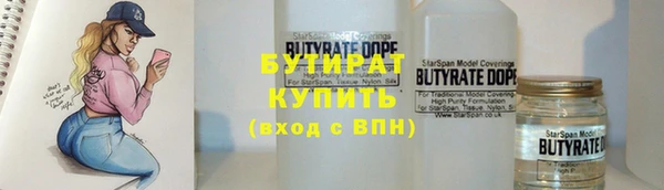 прущие грибы Тихвин