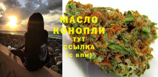 прущие грибы Тихвин