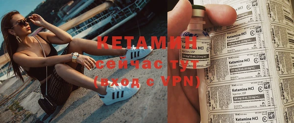 прущие грибы Тихвин