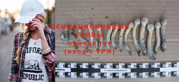 прущие грибы Тихвин
