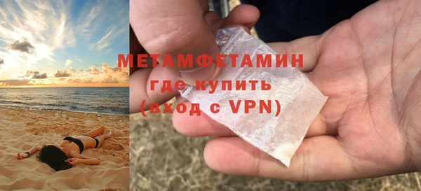 прущие грибы Тихвин