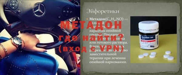 прущие грибы Тихвин